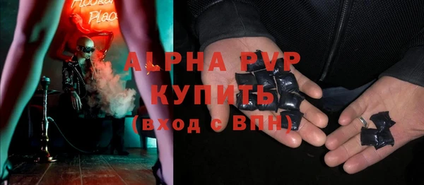 шишки Арсеньев