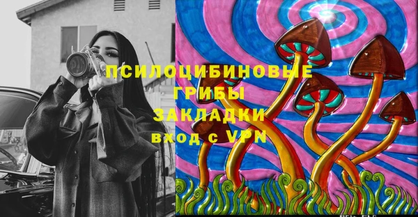шишки Арсеньев