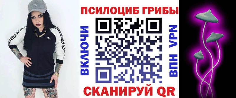 Псилоцибиновые грибы GOLDEN TEACHER  Власиха 
